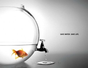 save water.jpg
